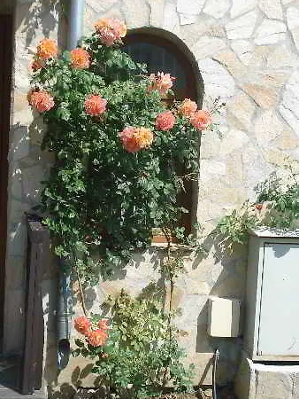 Tsb Sun Coast Aparthotel